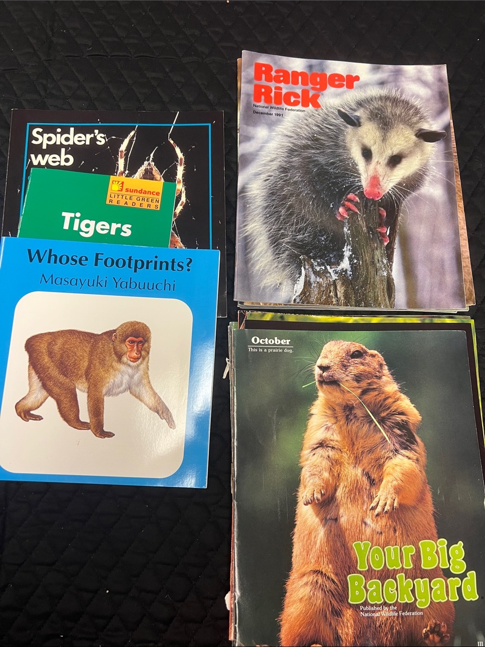 Ranger Rick & Your Big Backyard Kids Magazines and 3 books about animals